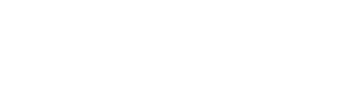 Deep Dive Estate Planning